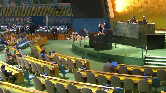Preventing and Combating Illicit Trafficking in Wildlife and other Crimes that Affect the Environment - High-level debate, General Assembly, 80th session