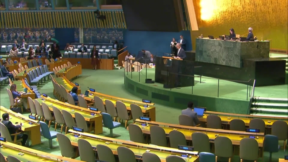 Preventing and Combating Illicit Trafficking in Wildlife and other Crimes that Affect the Environment - High-level debate, General Assembly, 80th session