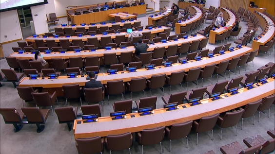 (9th Plenary meeting) Special Committee on Decolonization (C-24) - 2025 session