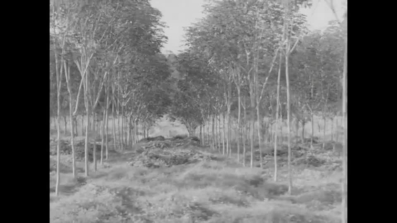 Malayan Background Material - Part 2