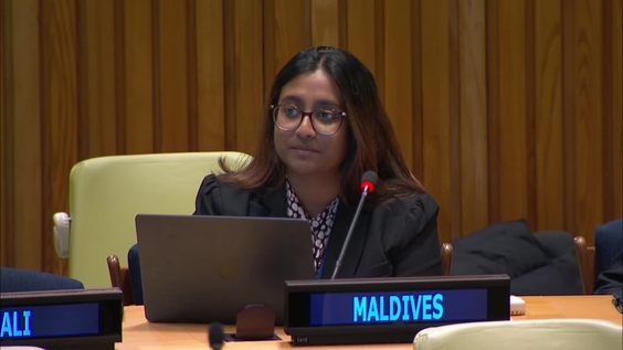 Preparatory Commission: Agreement on Marine Biological Diversity of Areas beyond National Jurisdiction (Third Session, Informal Working Group)