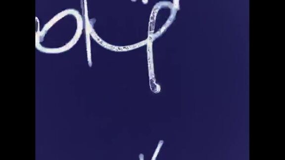 871st, 872nd, 873rd Plenary Meetings of General Assembly: 15th Session