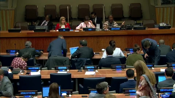 First Committee, 19th meeting - General Assembly, 74th session
