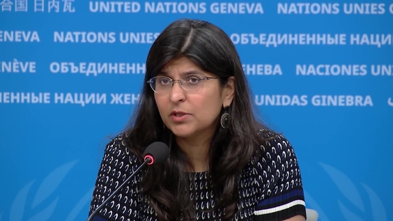 OHCHR - Press Briefing: UN Rapporteurs and the Challenges they Face