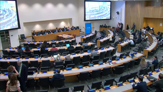 (3rd plenary meeting) UNICEF Executive Board, 2025 Annual Session