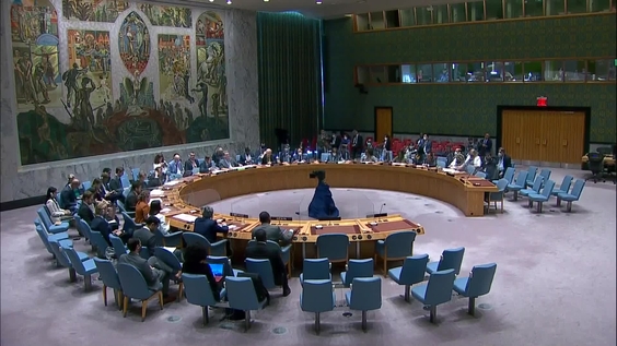 Ситуация в отношении Демократической Республики Конго - Совет Безопасности, 9084-е заседание