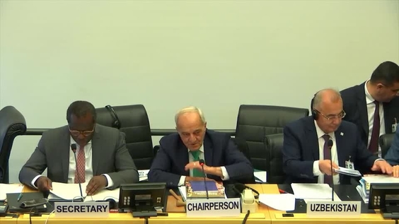 Consideration of Uzbekistan - 2786th Meeting, 100th Session Committee on Elimination of Racial Discrimination