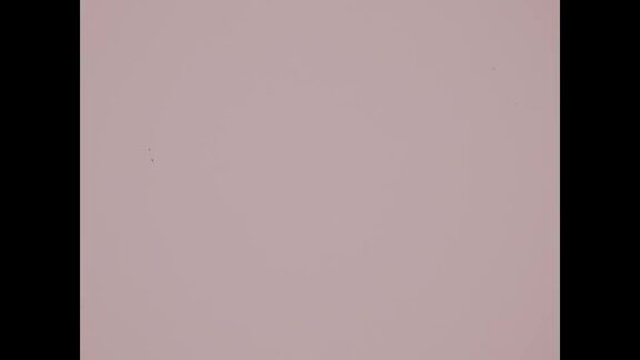 Count Bernadotte in Tel-Aviv, Jerusalem, and Ramallah