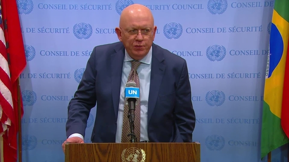Vassily Nebenzya (Russian Federation) on the Security Council Media Stakeout (Middle East, including the Palestinian question)