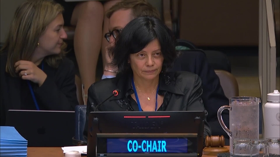 Preparatory Commission: Agreement on Marine Biological Diversity of Areas beyond National Jurisdiction (Third Session, 28th plenary)