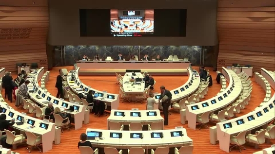 Consideration of Bosnia and Herzegovina (Cont'd) - 1733rd Meeting, 74th Session Committee on the Elimination of Discrimination Against Women 