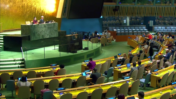 General Assembly: Eleventh Emergency Special Session, 22nd plenary meeting