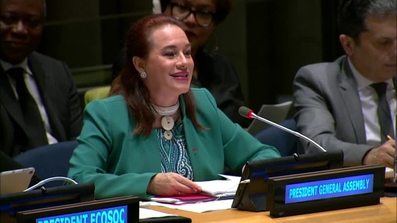  Inga Rhonda King (ECOSOC President) on the preparation for the SDG Summit - General Assembly (Informal meeting)