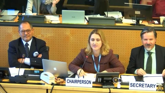 Meeting with States parties - 266th Meeting 15th Session Committee on Enforced Disappearances