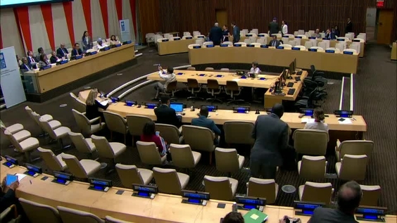 (8th Meeting) Executive Board of UNDP, UNFPA and UNOPS - Annual session 2019 (30 May, 3-4 and 6-7 June)
