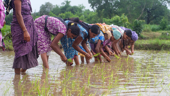 Unlocking the Social Economy