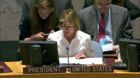 8690th Security Council Meeting: Situation in Middle East; Palestinian Question 