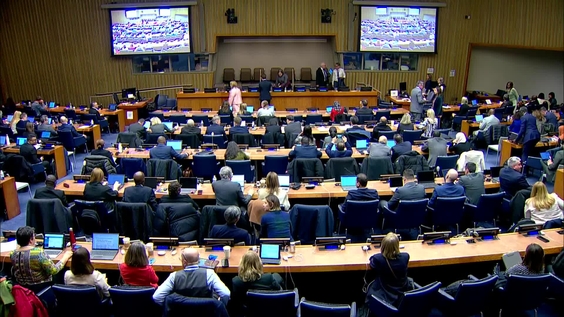 High Level Forum on Official Statistics: Data Governance - 56th Statistical Commission Side Event