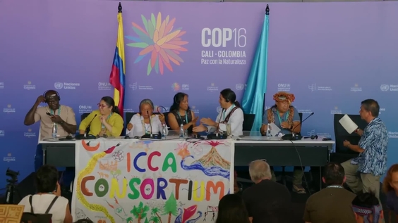Press Conference: ICCA Consortium Unveils Position Paper for CBD COP16: Advocating for Collective Rights and Human Rights Base Approach in KMGBF Implementation – United Nations Biodiversity Conference 2024