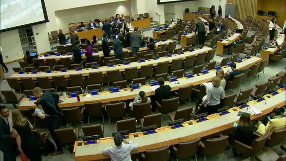 17th Plenary Meeting of Committee on Non-Governmental Organizations