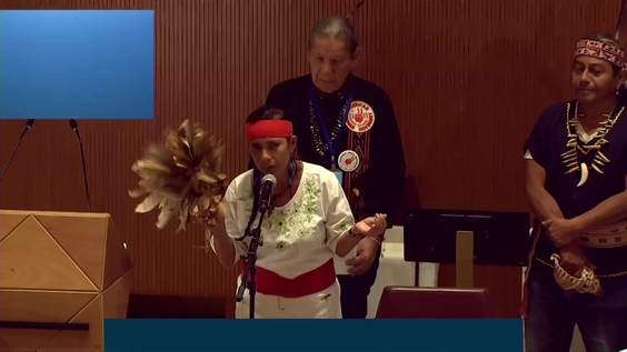 9th Meeting, 17th Session Expert Mechanism on the Rights of Indigenous Peoples (EMRIP)