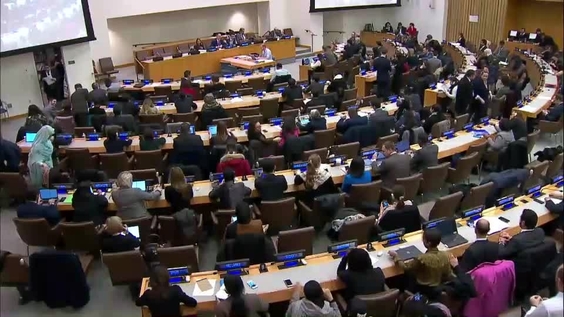 Third Committee, 46th meeting - General Assembly, 74th session