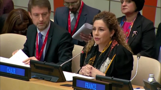 Ensuring accountability for atrocities committed in Ukraine - UN Security Council Arria-formula meeting