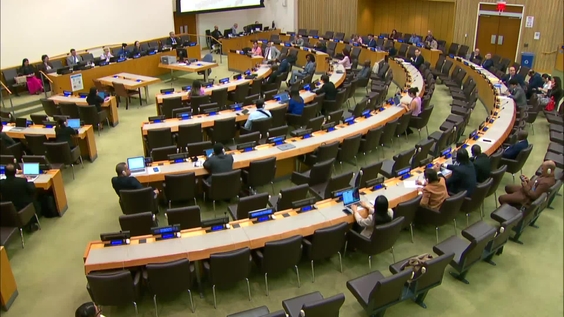(5th plenary meeting) Special Committee on Decolonization (C-24) - 2024 resumed session