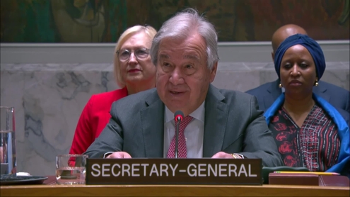 António Guterres (UN Secretary-General) on strengthening maritime security through international cooperation for global stability - Security Council, 9919th meeting