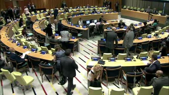 114th Plenary Meeting of General Assembly 70th Session 