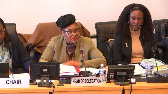 597th Meeting, 40th Session, Committee on Migrant Workers (CMW)