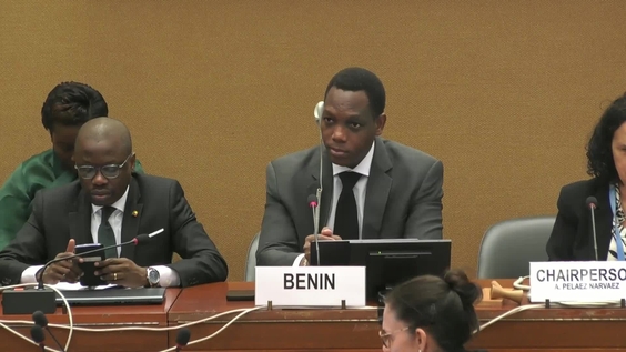 2108th Meeting, 89th Session, Committee on the Elimination of Discrimination against Women (CEDAW)