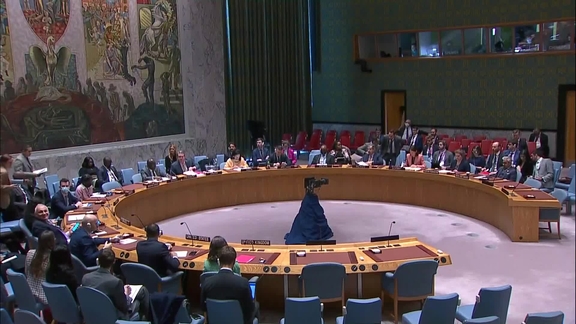 Briefings by Chairs of Subsidiary Bodies of the Security Council- Security Council, 9201st Meeting