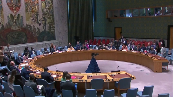 Briefings by Chairs of Subsidiary Bodies of the Security Council - Security Council, 9201st Meeting