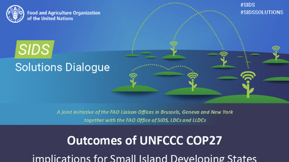SIDS Solutions Dialogue: Outcomes of UNFCCC COP27 and their implications for Small Island Developing States