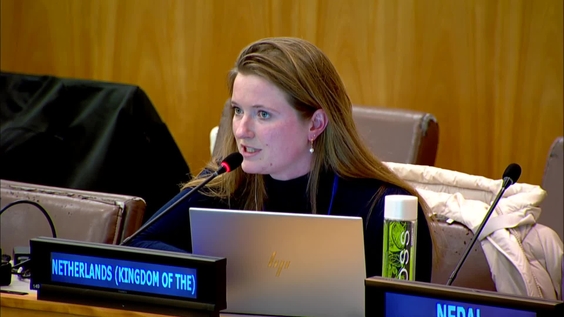 (2nd meeting) Intergovernmental Negotiating Committee on the United Nations Framework Convention on International Tax Cooperation - Fourth Session