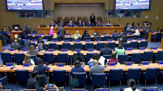 Opening, 2nd plenary meeting - 63rd Session of the Commission for ...