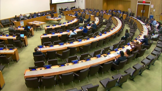 (6th plenary meeting) Special Committee on Decolonization (C-24) - 2024 resumed session