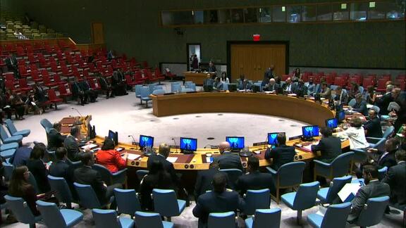 8551st Security Council Meeting: Situation in Middle East