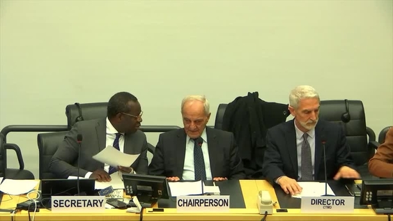 Celebration of the 100th Session of CERD - 2801st Meeting, 100th Session Committee on Elimination of Racial Discrimination
