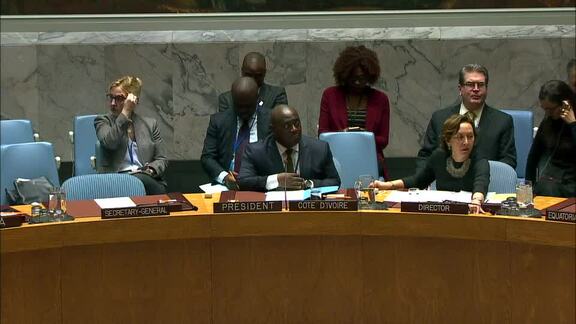 8432nd Security Council Meeting: Situation in Middle East