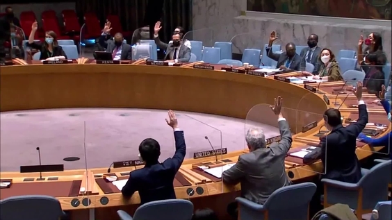 Threats to international peace and security caused by terrorist acts - Security Council, 8935th meeting