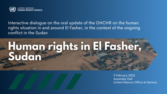 Interactive dialogue on the human rights situation in and around El Fasher