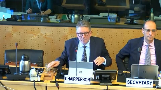 Consideration of Maldives - 1703rd Meeting 65th Session of Committee Against Torture