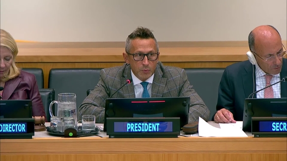 (2nd meeting) UNICEF Executive Board, Second regular session 2025 (2-5 September)