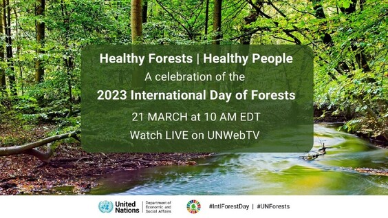 Special event in celebration of the 2023 International Day of Forests ...