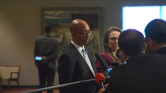 Robert Wood (United States) on the situation in the Middle East and Other matters - Security Council Media Stakeout