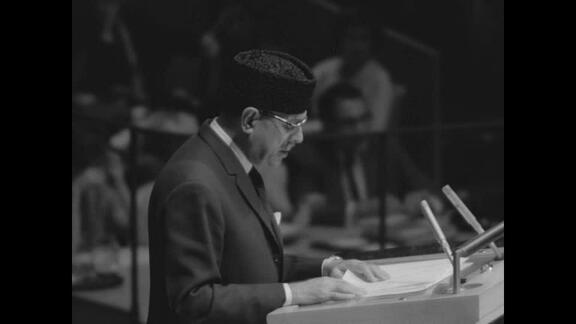 1133rd Plenary Meeting of General Assembly: 17th Session - Part 1