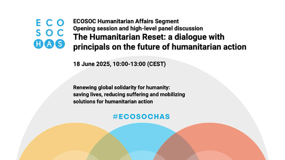 2025 ECOSOC Humanitarian Affairs Segment - Economic and Social Council, 27th Plenary Meeting