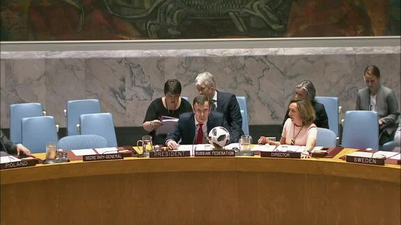 8290th Security Council Meeting: Sudan and South Sudan 